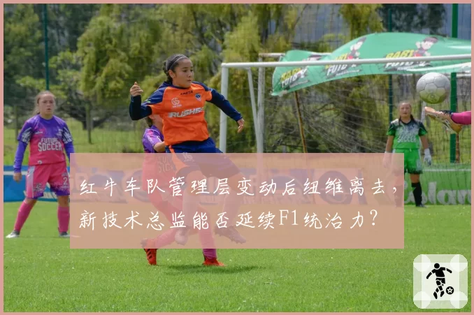 红牛车队管理层变动后纽维离去，新技术总监能否延续F1统治力？