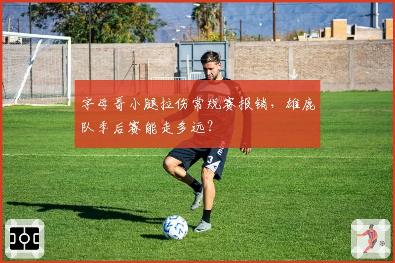 字母哥小腿拉伤常规赛报销，雄鹿队季后赛能走多远？