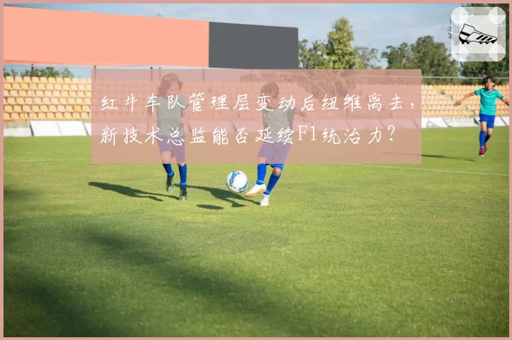 红牛车队管理层变动后纽维离去，新技术总监能否延续F1统治力？
