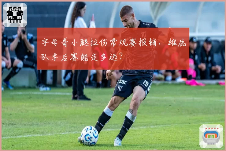 字母哥小腿拉伤常规赛报销,雄鹿队季后赛能走多远?