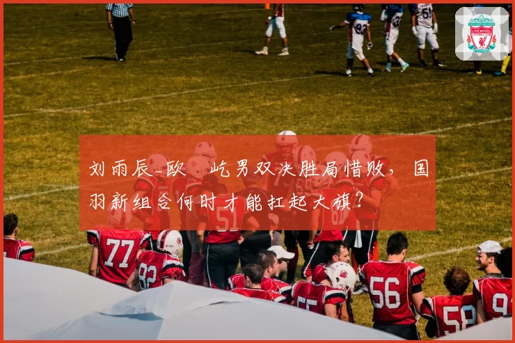 刘雨辰_欧烜屹男双决胜局惜败，国羽新组合何时才能扛起大旗？